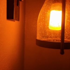 Meet your Posher, Dan